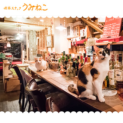客同士の縁を繋ぐ猫のいる京都のスナック
